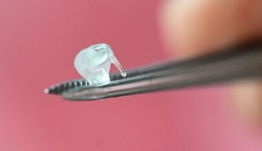 3D-Bioprinting senkt Zahl der Tierversuche - Baden-Württemberg