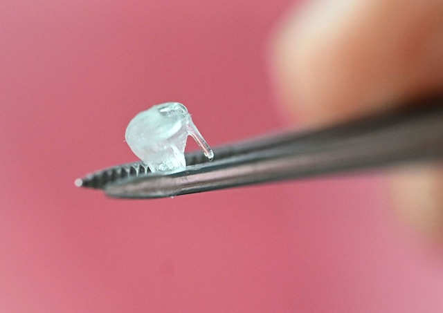 Selbst mit einer Pinzette sind die 3D-...ckten Baby-Herzklappen kaum zu fassen.  | Foto: Uli Deck/dpa