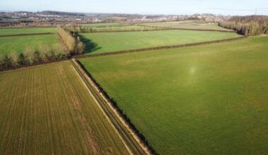 Goldbeck baut Solarparks in UK mit viel Biodiversität