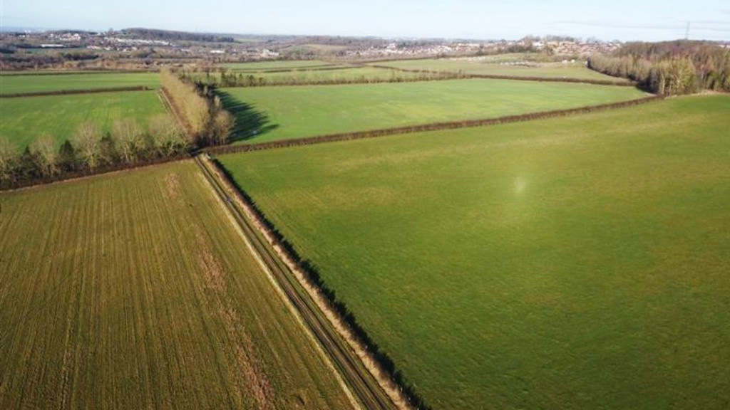 Goldbeck baut Solarparks in UK mit viel Biodiversität