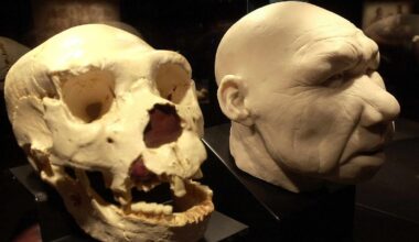 Homo antecessor war Kannibale: Urzeit-Menschen aßen sogar Kleinkinder
