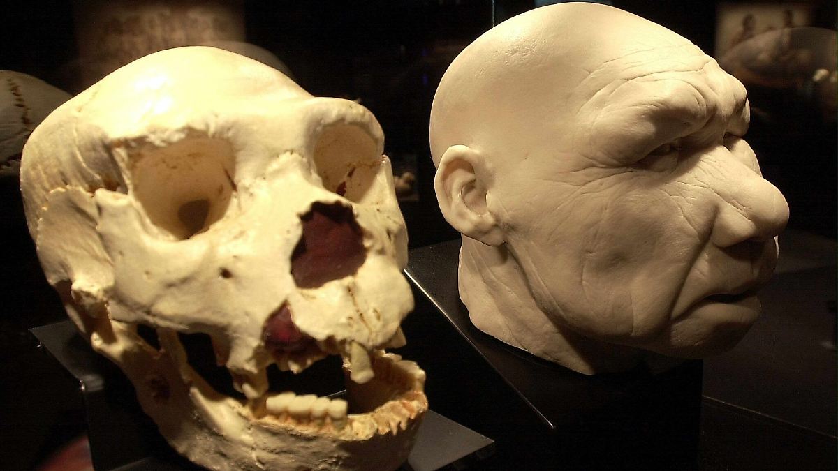 Homo antecessor war Kannibale: Urzeit-Menschen aßen sogar Kleinkinder