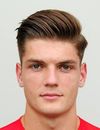Farid Bacevac