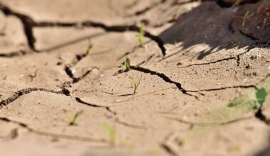 Klimakrise verschärft sich: Mehr als die Hälfte der Böden in Europa im Juli von Dürre betroffen