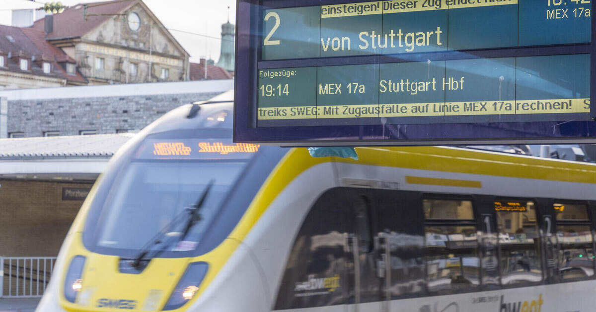 MEX-Züge zwischen Bietigheim und Stuttgart entfallen im Sommer - Region