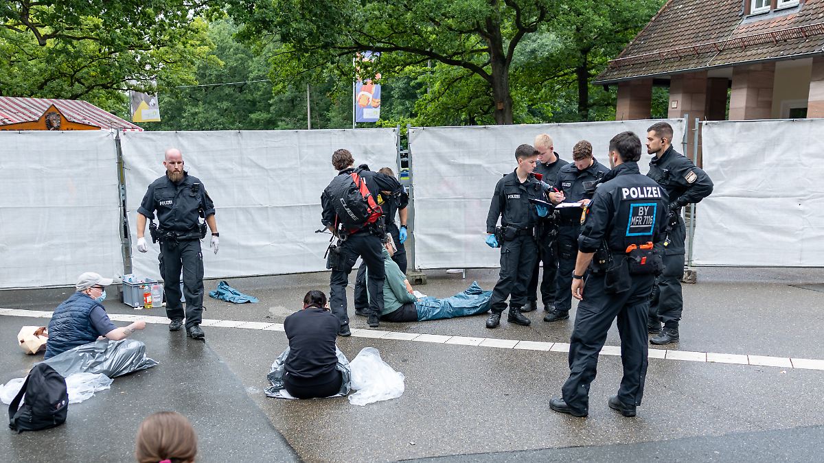 Proteste in Nürnberg: Aktivisten kleben sich wegen Pavian-Tötung vor Tiergarten fest