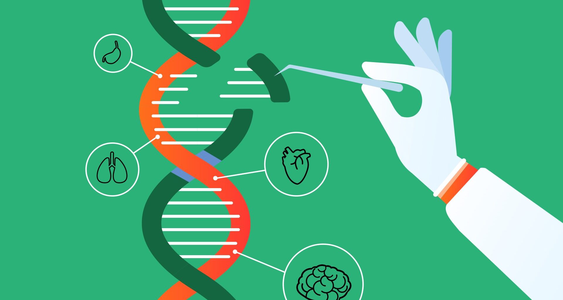 Forscher entwickeln besonders wirksame Gentherapie gegen Taubheit
