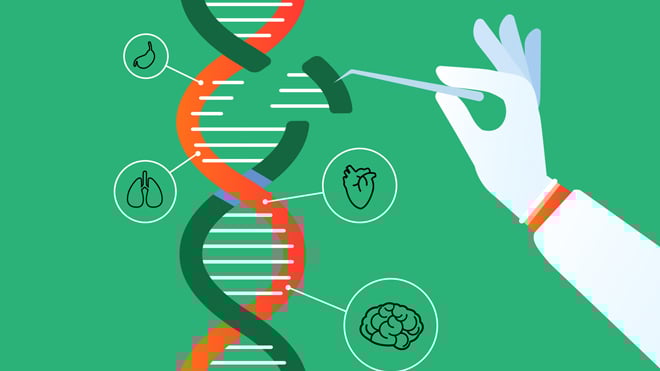 Forschung, Wissenschaft, Science, Dns, Dna, Genetik, Molekül, Erbmaterial, Gene, Erbgut, CRISPR, Erbsequenz, Desoxyribonukleinsäure, Erbinformation, Deoxyribonucleic Acid