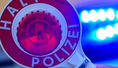 Verfolgungsfahrt mit gestohlenem Wagen endet im Zaun