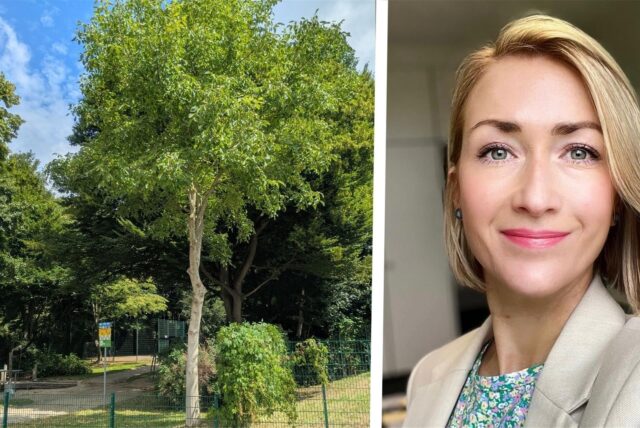 Das Bild zeigt eine Collage. Der linke Teil zeigt einen Baum und einen Spielplatz unter blauem Himmel, während der rechte Teil das Porträt einer Frau zeigt.