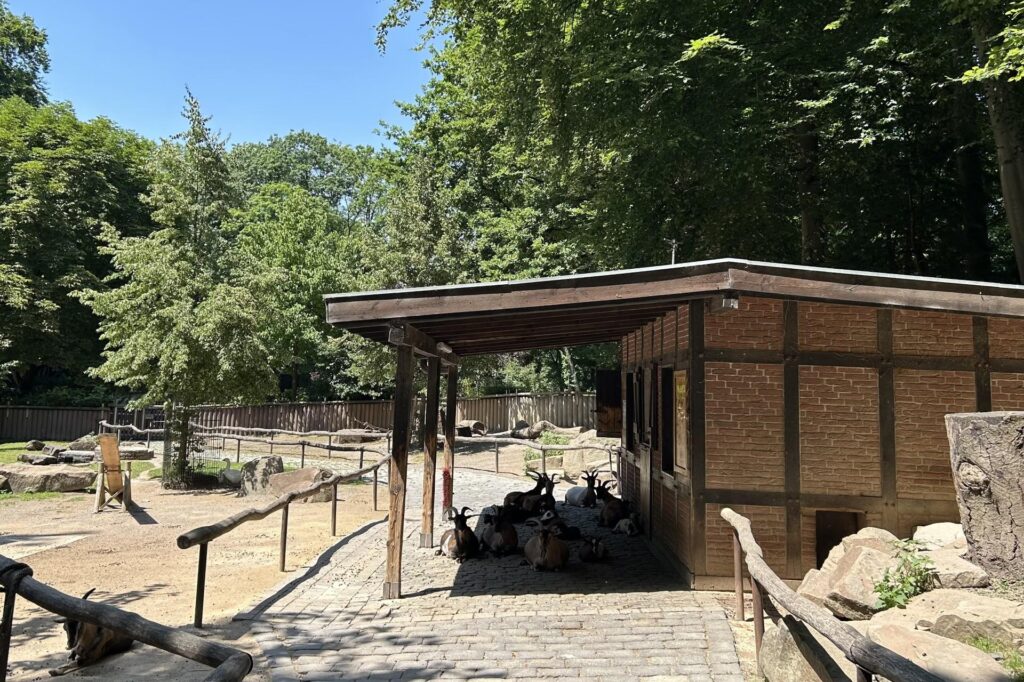 Der Streichelzoo im Zoo Dortmund