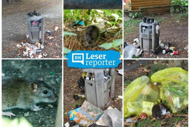 Collage von verschiedenen Orten in Dortmund, an denen Müllhaufen und Ratten gesichtet wurden.