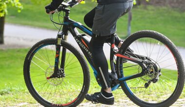 Junge (11) bei Unfall im Rombergpark verletzt