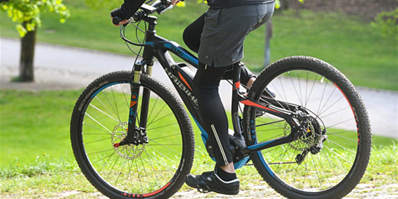 Junge (11) bei Unfall im Rombergpark verletzt