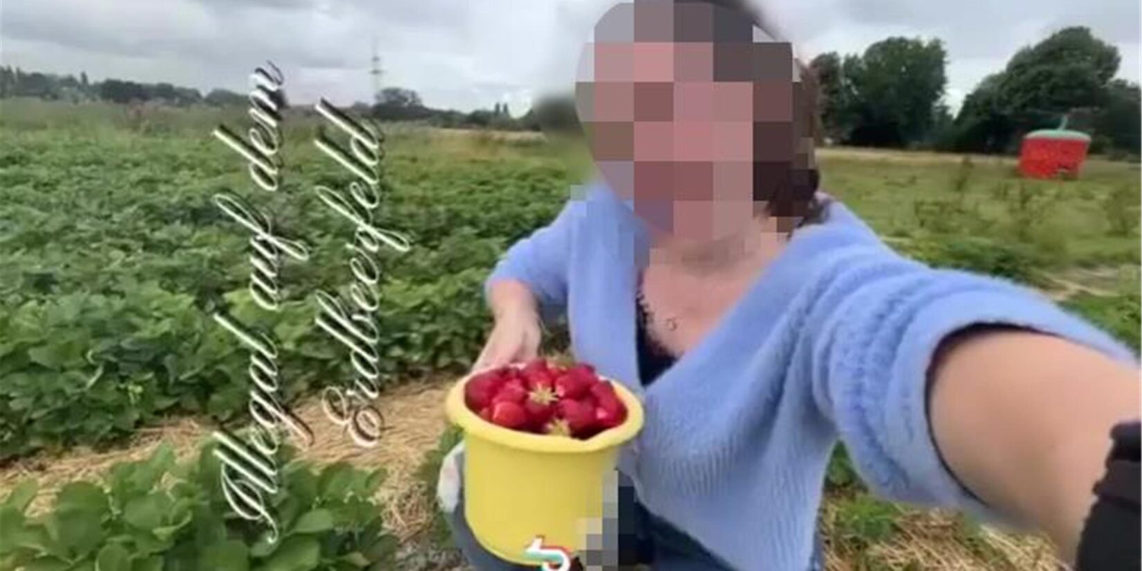 Junge Frau stellt Video von Erdbeer-Diebstahl selbst online