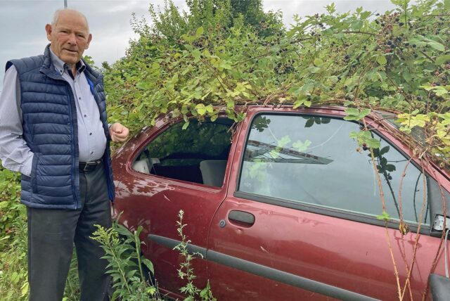 An der Straße Zeche Crone in Dortmund-Hacheney steht seit Jahren dieses Schrottauto, ein rotbrauner Ford, der von Brombeerranken überwuchert ist. Ein Mann steht daneben.