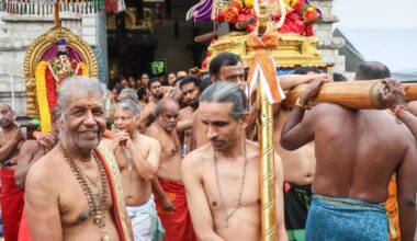 Die schönsten Fotos vom Hindu-Festzug