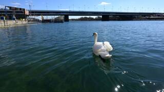 Die fünfte Donau-Erhebung ist gestartet