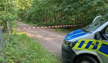 Größerer Waldbrand in Halle verhindert