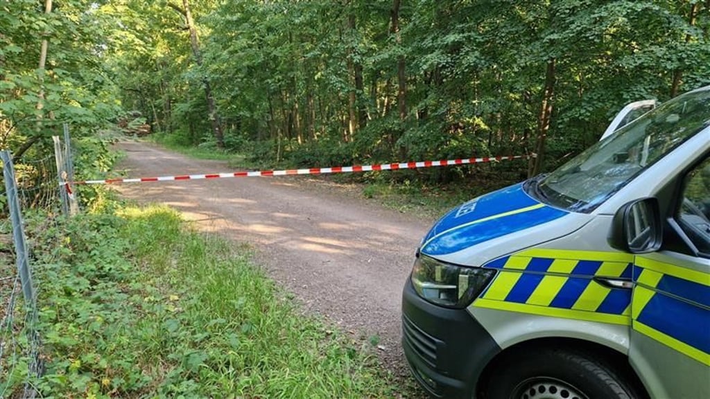 Größerer Waldbrand in Halle verhindert