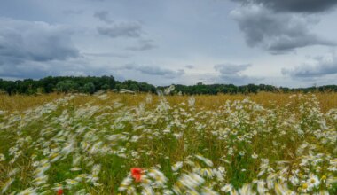 Wetter - Wechselhafter Wochenstart in Berlin und Brandenburg - Panorama
