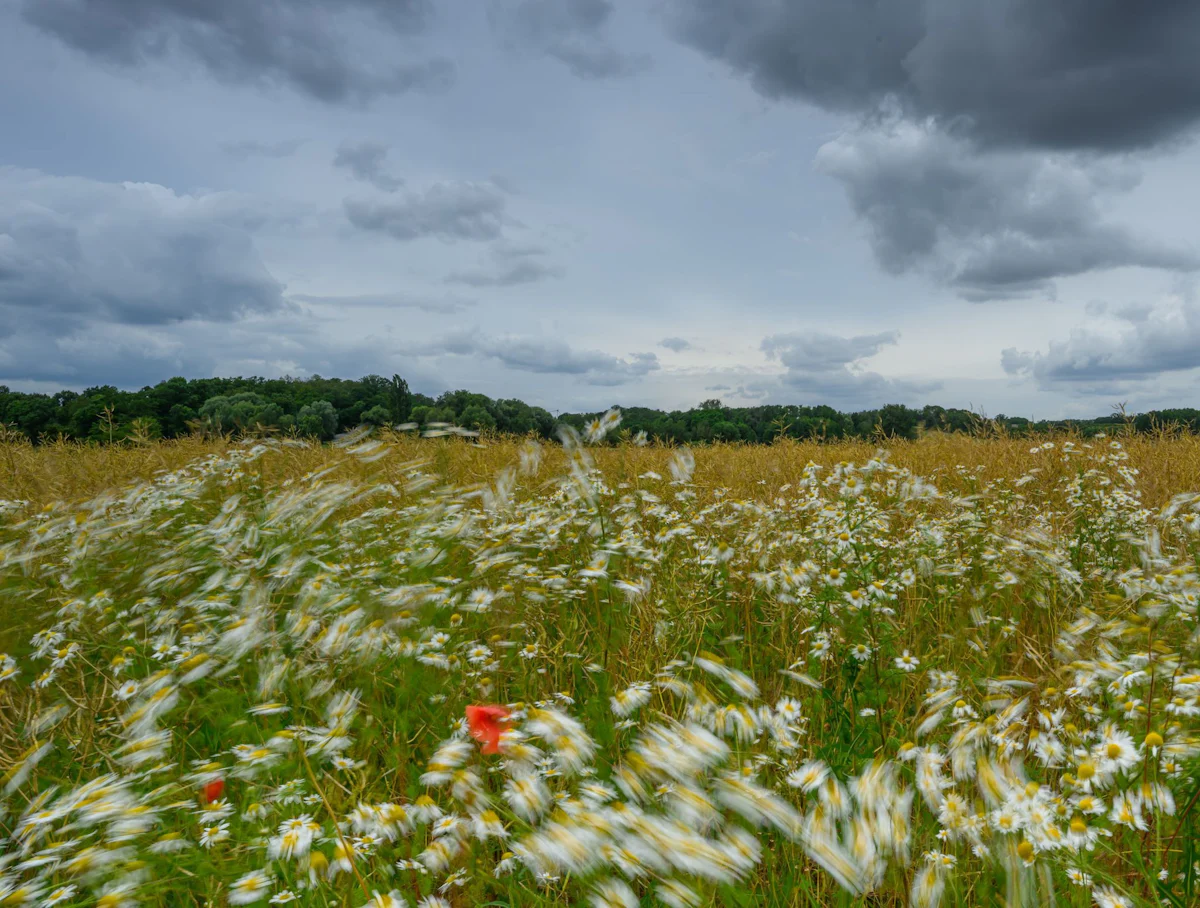 Wetter - Wechselhafter Wochenstart in Berlin und Brandenburg - Panorama