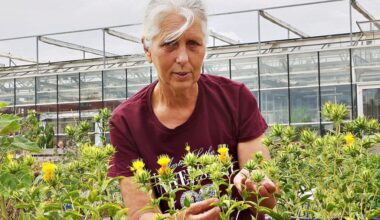 Agrarwissenschaftlerin Urte Grauwinkel forscht als Doktorandin am Institut für Agrar- und Ernährungswissenschaften an der Uni Halle.
