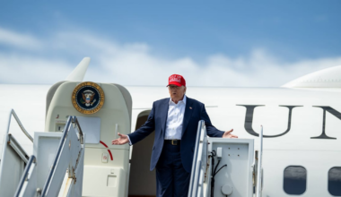 Trumps „Fliegen-Regen“: USA wollen Milliarden Insekten aus Flugzeugen abwerfen