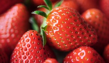 Bitte zu Tisch! Das größte Menü der Welt ist angerichtet - Literatur