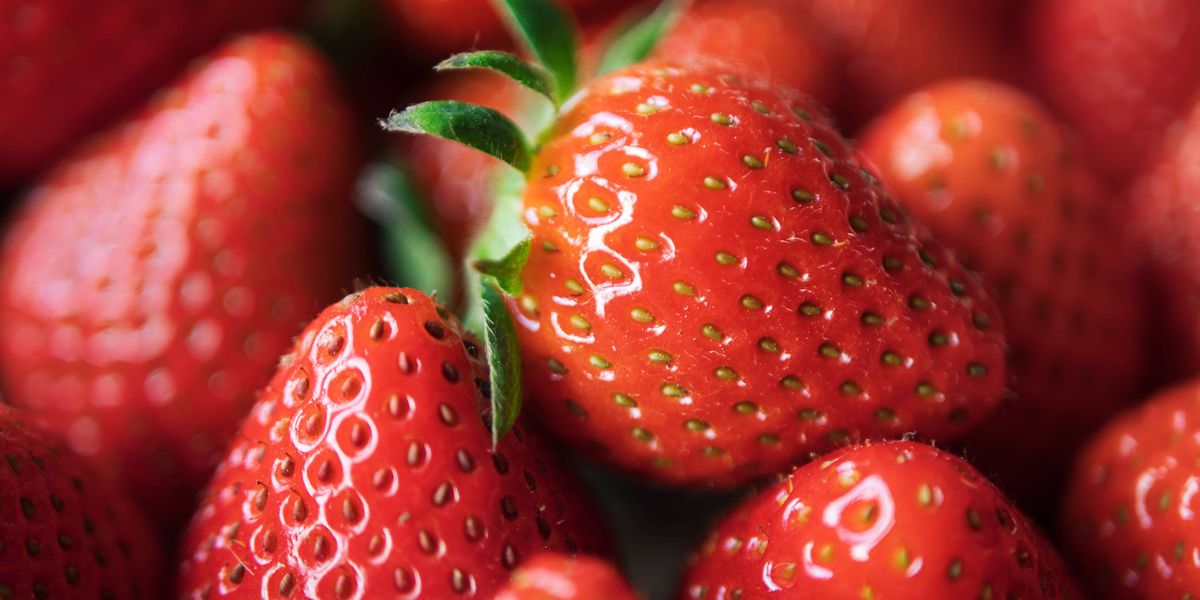 Bitte zu Tisch! Das größte Menü der Welt ist angerichtet - Literatur