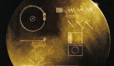 Die Voyager Golden Records sind Datenplatten mit Bild- und Audio-Informationen, die an Bord der 1977 gestarteten interstellaren Raumsonden Voyager 1 und Voyager 2 waren.