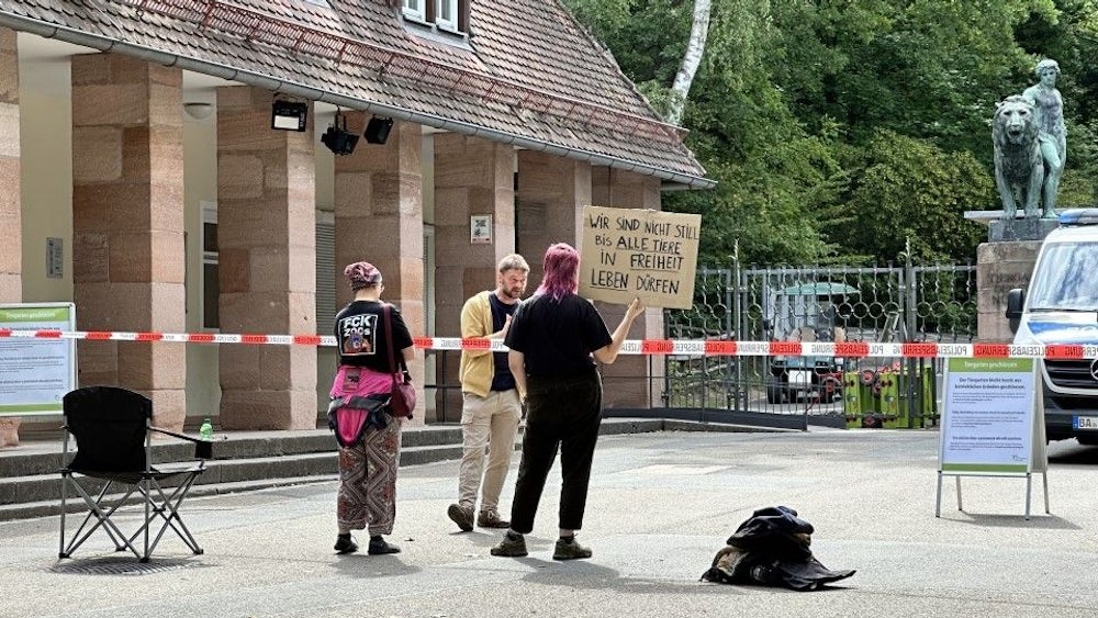Gegen 9.30 Uhr trafen die ersten Aktivisten ein.