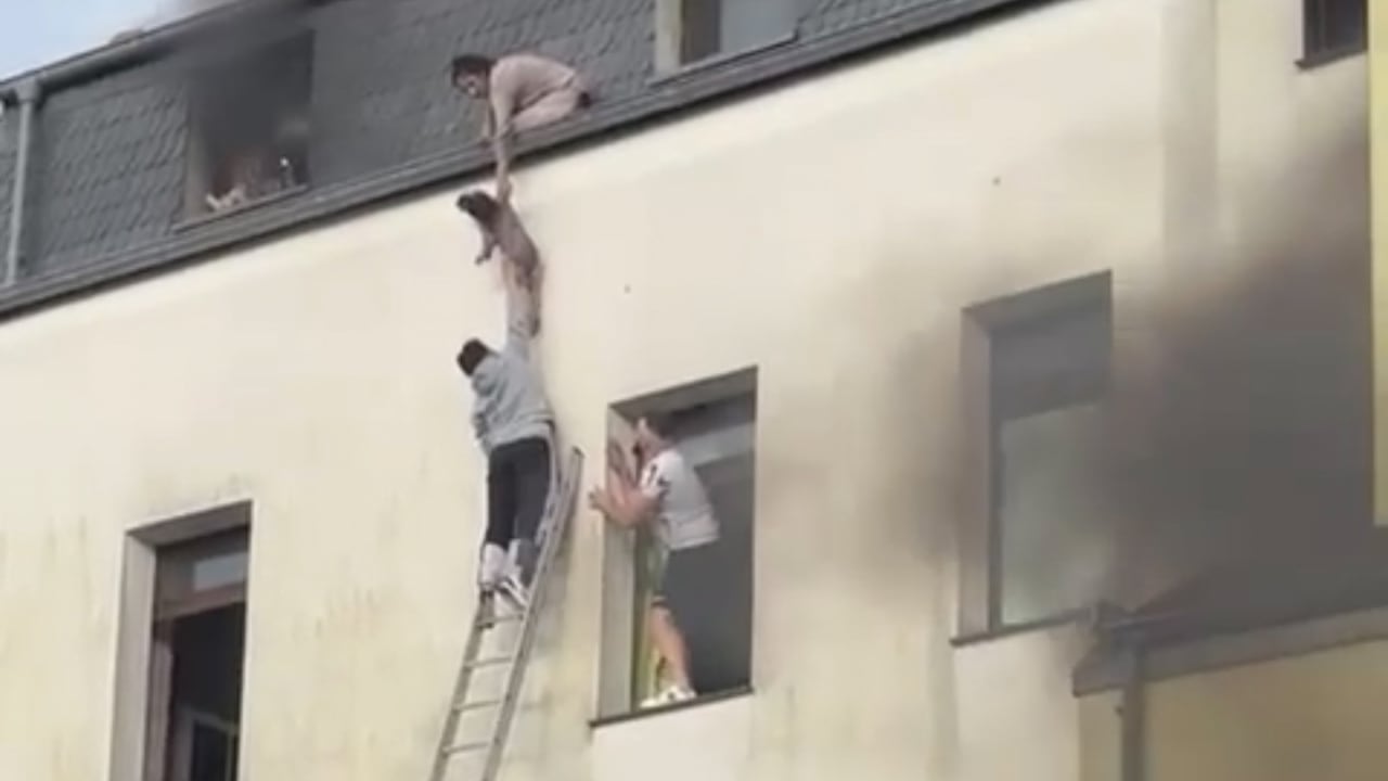 Essen: Macheten-Mann wegen 31-fachen versuchten Mordes vor Gericht | Regional