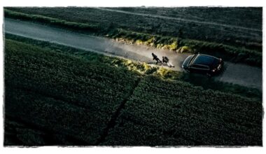 Brutale Morde und das krasse Muster dahinter: Viel Atmosphäre & Spannung im Trailer zum Thriller "Rapaces" - Kino News