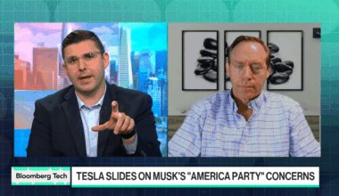 Musk Entfremdet Sowohl Demokraten als Auch Republikaner, Sagt Green von Simplify