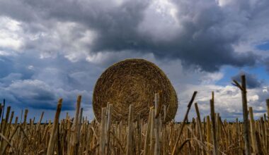 Berlin & Brandenburg: Wolken, Regen und kein Sommerwetter in Sicht