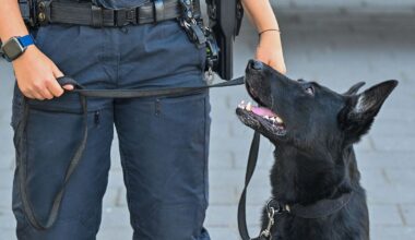 Berlin & Brandenburg: Polizei lädt zum Tag der offenen Tür