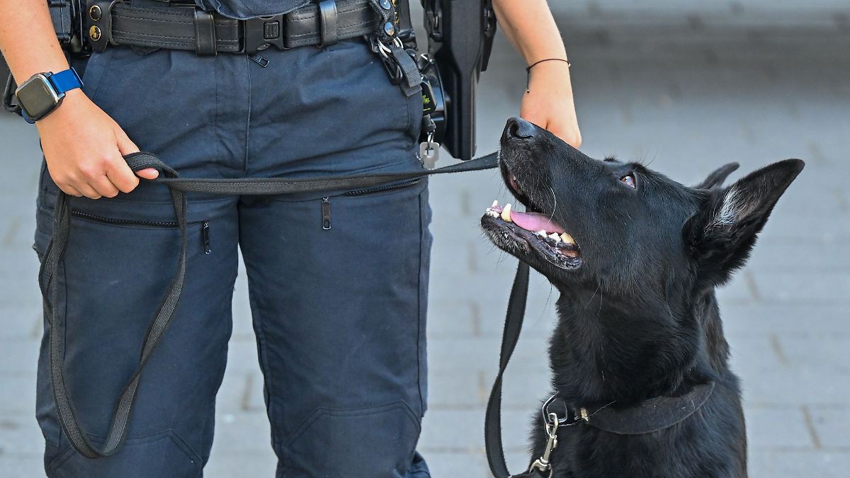 Berlin & Brandenburg: Polizei lädt zum Tag der offenen Tür
