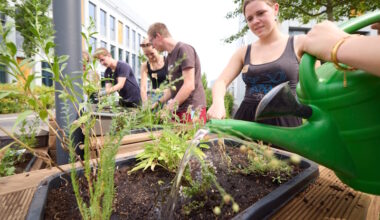 Studierende bepflanzen neue Sitzmöglichkeiten - LokalKlick.eu
