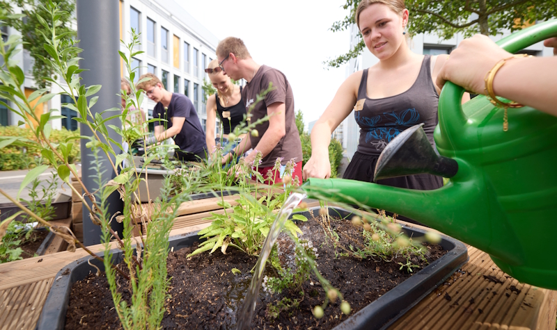 Studierende bepflanzen neue Sitzmöglichkeiten - LokalKlick.eu