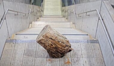 1 Meter langer Baumstamm im Leipziger S-Bahnhaltepunkt „Wilhelm- Leuschner – Platz“. Bild: Bundespolizei Leipzig