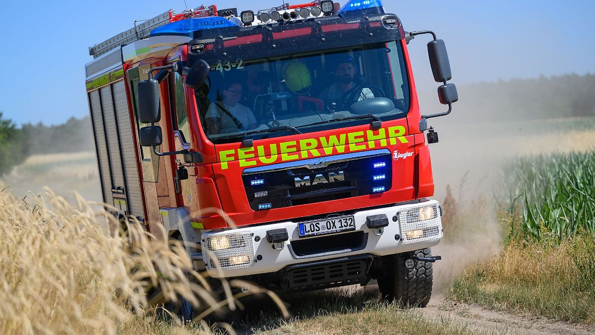 Berlin & Brandenburg: Waldbrände in Brandenburg weiterhin unter Kontrolle