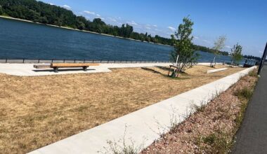 Braunes Grünufer auf der Nordmole in Mainz: Wässerung per Wasserfass - Zollhafen GmbH: Rasen wird zwei Mal pro Woche gewässert