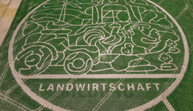Maislabyrinth geht in die fünfte Saison