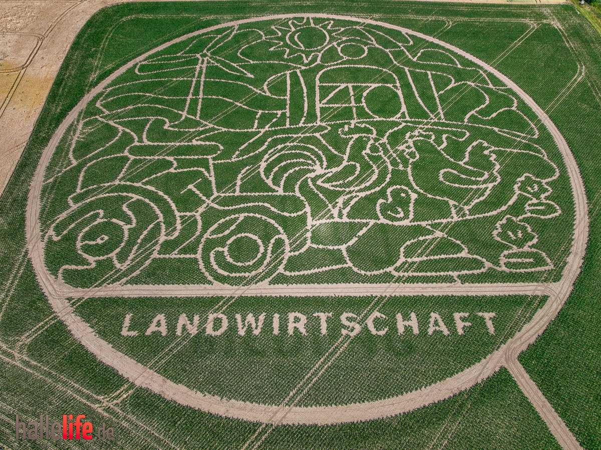 Maislabyrinth geht in die fünfte Saison