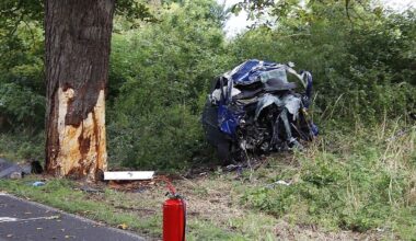 Berlin & Brandenburg: 21-jähriger Autofahrer prallt gegen Baum und stirbt