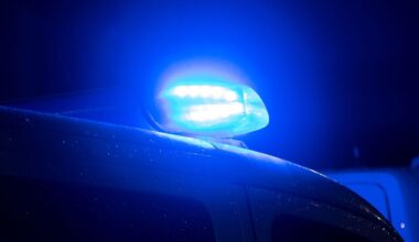 Niedersachsen & Bremen: Autofahrer weicht Reh aus - Wagen überschlägt sich mehrfach