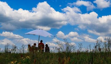Berlin & Brandenburg: Sonnenschein in Berlin und Brandenburg - aber auch Gewitter