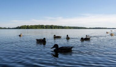 Berlin & Brandenburg: Gute Wasserqualität zum Baden in Brandenburg - mit Ausnahmen