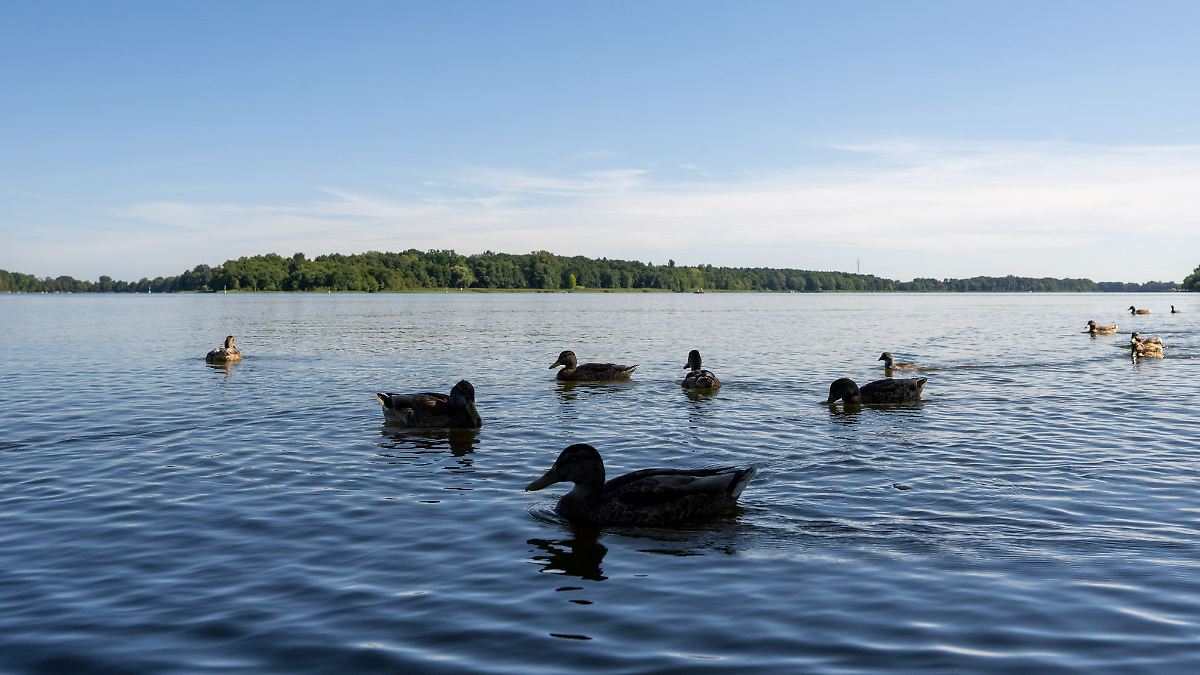 Berlin & Brandenburg: Gute Wasserqualität zum Baden in Brandenburg - mit Ausnahmen